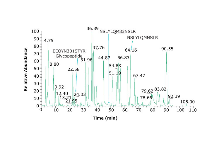 Base peak chromatogram of adalimumab tryptic peptides. Heavy chain glycosylated peptide (EEQYN301STYR) is observed at 24.03 min. Using a dual column set up, we observe hydrophilic peptides such as PGK, SCDK, VDK eluting at 3.95, 2.57, and 2.76 min, respectively. An example peptide and its oxidized form are NSLYLQM83NSLR and NSLYLQMNSLR and eluting at 49.30 and 64.16 min, respectively. Base peak chromatogram of adalimumab tryptic peptides. Heavy chain glycosylated peptide (EEQYN301STYR) is observed at 24.03 min. Using a dual column set up and an example peptide and its oxidized form are NSLYLQM83NSLR and NSLYLQMNSLR and eluting at 49.30 and 64.16 min, respectively.