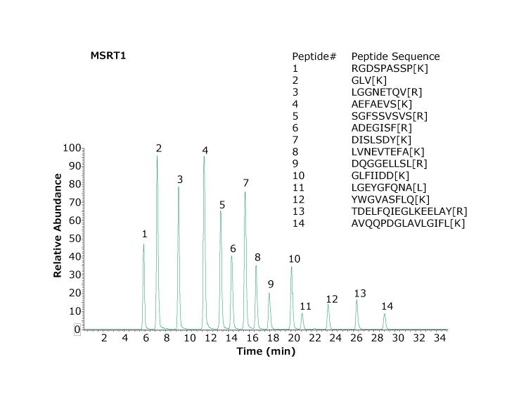 Base peak chromatogram of MSRT1 peptides separated using two Ascentis™ Express Peptide ES-C18 columns (1.0 mm x 150 mm, 2.7 μm particles). Bracketed amino acids in the inset denote isotope labeled amino acids. Base peak chromatogram of MSRT1 peptides separated using two Ascentis™ Express Peptide ES-C18 columns (1.0 mm x 150 mm, 2.7 μm particles). Bracketed amino acids in the inset denote isotope labeled amino acids.