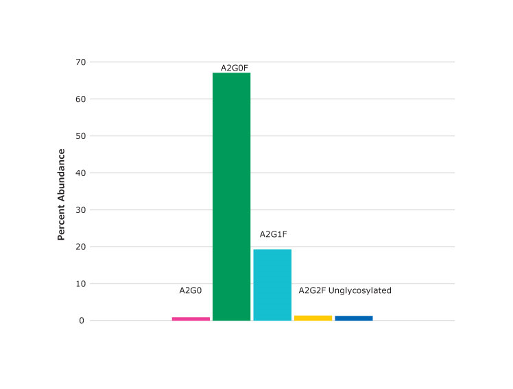 Spectrum (top) and percent abundance (bottom) of glycans found at asparagine N301, the peptide glycoforms shown in Figure 2 as peak at 24.03 minutes. Spectrum (top) and percent abundance (bottom) of glycans found at asparagine N301
