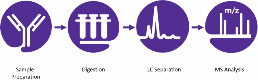 Workflow for Peptide Mapping Workflow for Peptide Mapping
