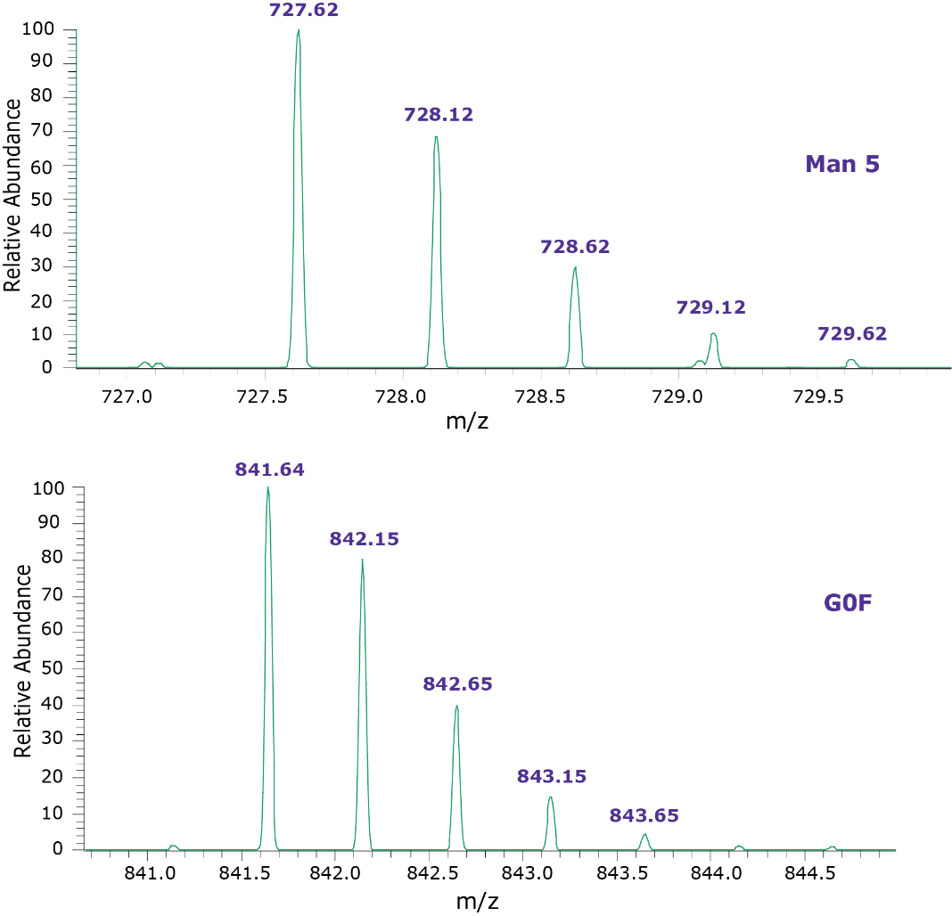 MS spectra observed for peak 4 (Man 5) and 5 (G0F), in the fluorescence chromatograms, of adalimumab samples