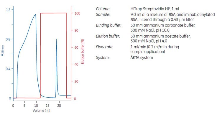 Puriﬁcation of iminobiotinylated BSA on HiTrap® Streptavidin HP, 1 mL