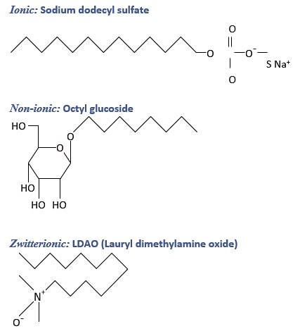 Chemical structures of selected detergents from the different classes