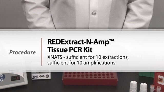 REDExtract-N-Amp™ Tissue PCR Kit