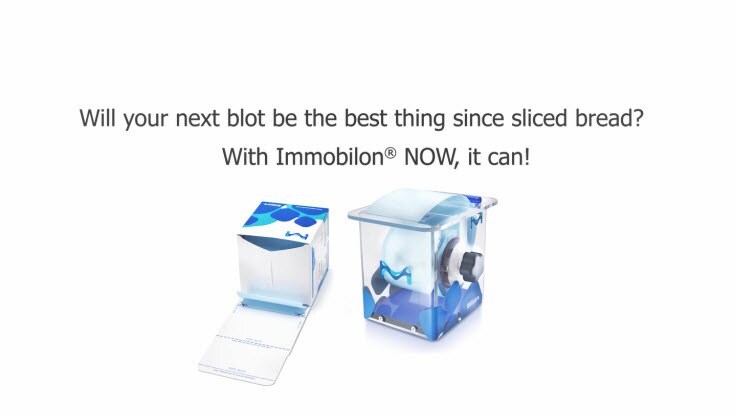 Western Blotting membranes with our Immobilon<sup>®</sup> NOW format
