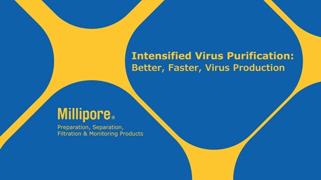 Intensified Virus Purification