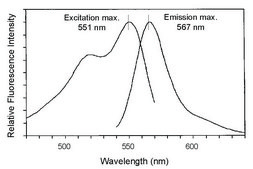 用于常规细胞膜标记的PKH26红色荧光细胞连接子试剂盒 Distributed for Phanos Technologies