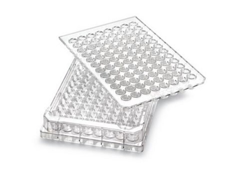 Multiscreen® 96 well Plate, polycarbonate membrane pore size 0.45 μm, non-sterile
