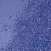 QCM ECMatrix细胞侵袭试验，24孔（8 µm），比色法 The CHEMICON Cell Invasion Assay Kit uses a 24-well plate, with 8 um pores, which provides an efficient system for evaluating the invasion of tumor cells through a basement membrane model.