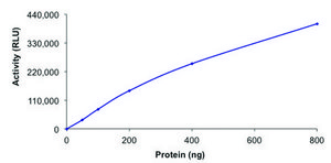 PI3K (p110-α/p55-γ), active, His tagged human PRECISIO®, recombinant, expressed in baculovirus infected Sf9 cells, ≥70% (SDS-PAGE), buffered aqueous glycerol solution
