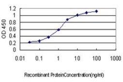 Monoclonal Anti-CDC25A antibody produced in mouse clone 3D5, purified immunoglobulin, buffered aqueous solution