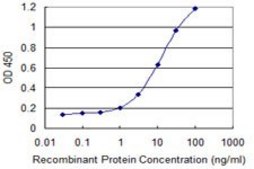 Monoclonal Anti-CHRNA5 antibody produced in mouse clone 7D3, purified immunoglobulin, buffered aqueous solution
