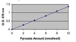 Pyruvate Assay Kit sufficient for 100 colorimetric&nbsp;or&nbsp;fluorometric&nbsp;tests