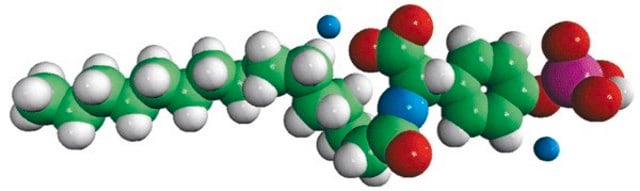 N-P Tyrosine PA Avanti Polar Lipids 800725P, powder