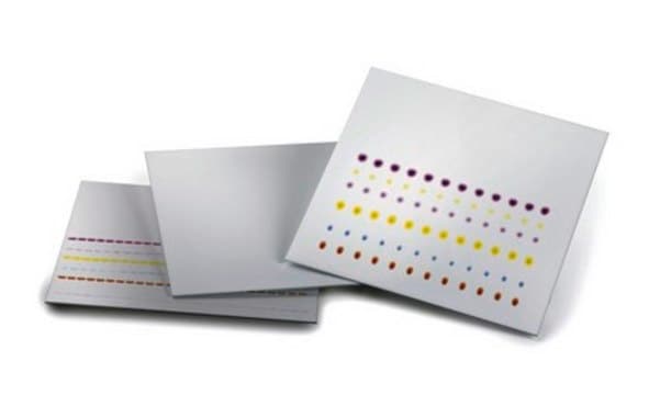 薄层色谱TLC塑料片, 氧化铝 60 F₂₅₄, 中性 pkg of 25&#160;sheets, sheet L × W 20&#160;cm × 20&#160;cm, plastic support