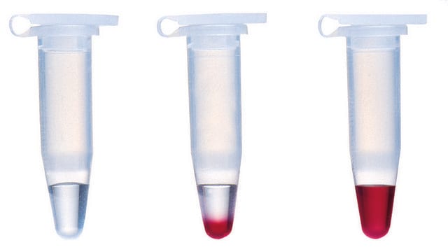 REDTaq &#174; DNA 聚合酶 Taq for routine PCR with inert dye, 10X buffer included
