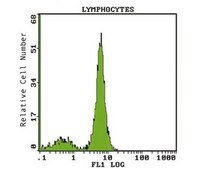 Anti-CD28 Antibody, clone 15E8 clone 15E8, Chemicon®, from mouse