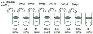 大鼠 IL-4 ELISA 试剂盒 for cell and tissue lysates