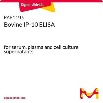 Bovine IP-10 ELISA for serum, plasma and cell culture supernatants