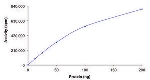 LYN A, active, GST tagged human PRECISIO®, recombinant, expressed in baculovirus infected Sf9 cells, ≥70% (SDS-PAGE), buffered aqueous glycerol solution