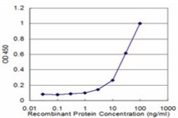 Monoclonal Anti-GBA antibody produced in mouse clone 2H4, purified immunoglobulin, buffered aqueous solution