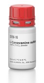 L-Canavanine sulfate salt ≥99% (TLC), powder