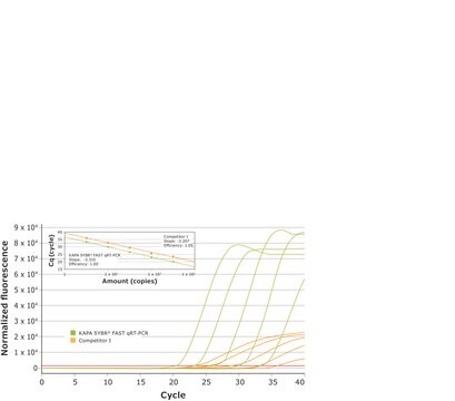KAPA SYBR&#174; FAST 一步法 suitable for RT-PCR, 2&#160;×, Universal