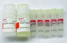 Extract-N-Amp™植物PCR试剂盒 sufficient for 100 extractions, sufficient for 500 amplifications