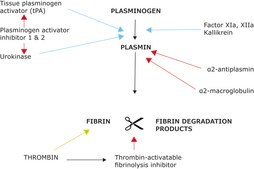Plasminogen activator inhibitor 1 (PAI-1) human recombinant, expressed in E. coli, ≥90% (SDS-PAGE)