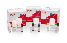 荧光测定细胞内活性氧试剂盒 sufficient for 200 fluorometric&nbsp;tests (Deep red)