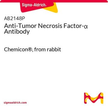 Anti-Tumor Necrosis Factor-α Antibody Chemicon®, from rabbit