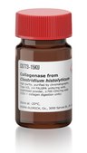 Collagenase from Clostridium histolyticum high purity, purified by chromatography, Type VII, ≥4 FALGPA units/mg solid, lyophilized powder, ≥700 CDU/mg solid (CDU = collagen digestion units)