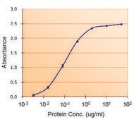 Anti-PAI1/SERPINE1 antibody produced in goat affinity isolated antibody, buffered aqueous solution