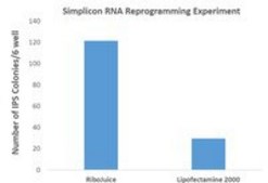 RiboJuice mRNA Transfection Kit