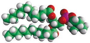 12:0 PC (DLPC) Avanti Research™ - A Croda Brand