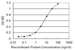 Monoclonal Anti-TWIST1 antibody produced in mouse clone 2G12, purified immunoglobulin, buffered aqueous solution