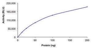 SIRT3, active, GST tagged human recombinant, expressed in baculovirus infected Sf9 cells, ≥70% (SDS-PAGE), buffered aqueous glycerol solution