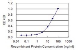 Monoclonal Anti-SLC25A25 antibody produced in mouse clone 4D8, purified immunoglobulin, buffered aqueous solution