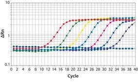 SYBR® Green JumpStart™ Taq ReadyMix™ for quantitative PCR, without MgCl2 in buffer