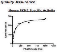 Pyruvate kinase M2 Active from mouse recombinant, expressed in E. coli, ≥90% (SDS-PAGE)