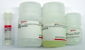 Extract-N-Amp™ Tissue PCR Kit sufficient for 100 extractions, sufficient for 100 amplifications