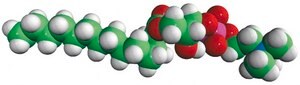 14:0 Lyso PC 1-myristoyl-2-hydroxy-sn-glycero-3-phosphocholine, powder