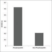 抗 磷酸化 PLK1 (pThr 210 ) 兔抗 affinity isolated antibody