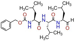 MG-132, ≥95% by HPLC Potent, reversible, and cell-permeable proteasome inhibitor (Ki = 4 nM).