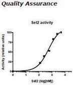 Set2 human recombinant, expressed in E. coli, ≥75% (SDS-PAGE)