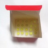 SIG10 MAX Electrocompetent Cells for general cloning &amp; library production