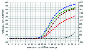 植物/真菌RNA纯化试剂盒 sufficient for 50 purifications