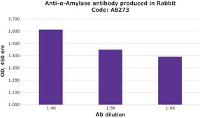 Anti-α-Amylase antibody produced in rabbit fractionated antiserum, lyophilized powder