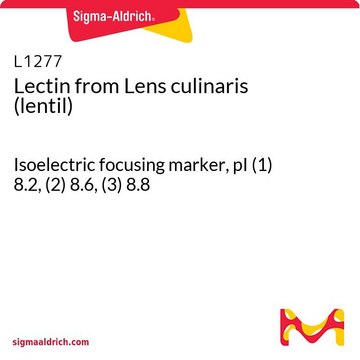 Lectin from Lens culinaris (lentil) Isoelectric focusing marker, pI (1) 8.2, (2) 8.6, (3) 8.8