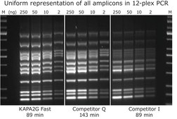 KAPA2G 快速多重混合液 suitable for PCR, 2 ×
